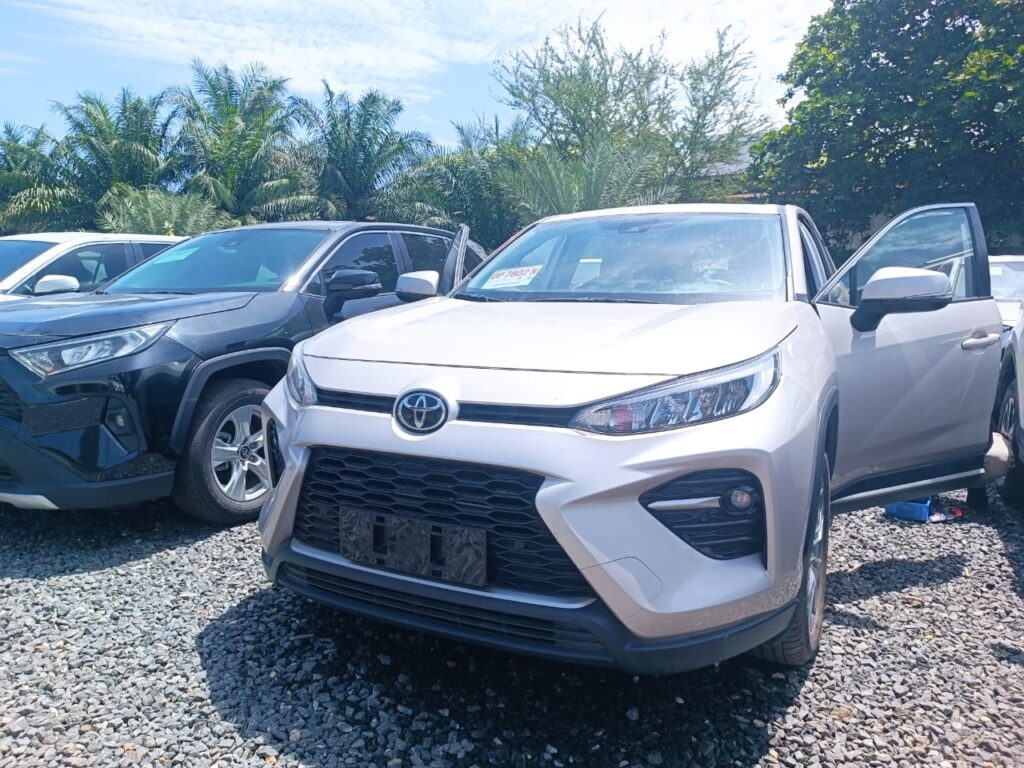 Toyota Wildlander