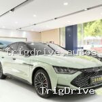 2020 BYD Han DM Performance Luxury — photo 2