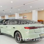 2020 BYD Han DM Performance Luxury — photo 11